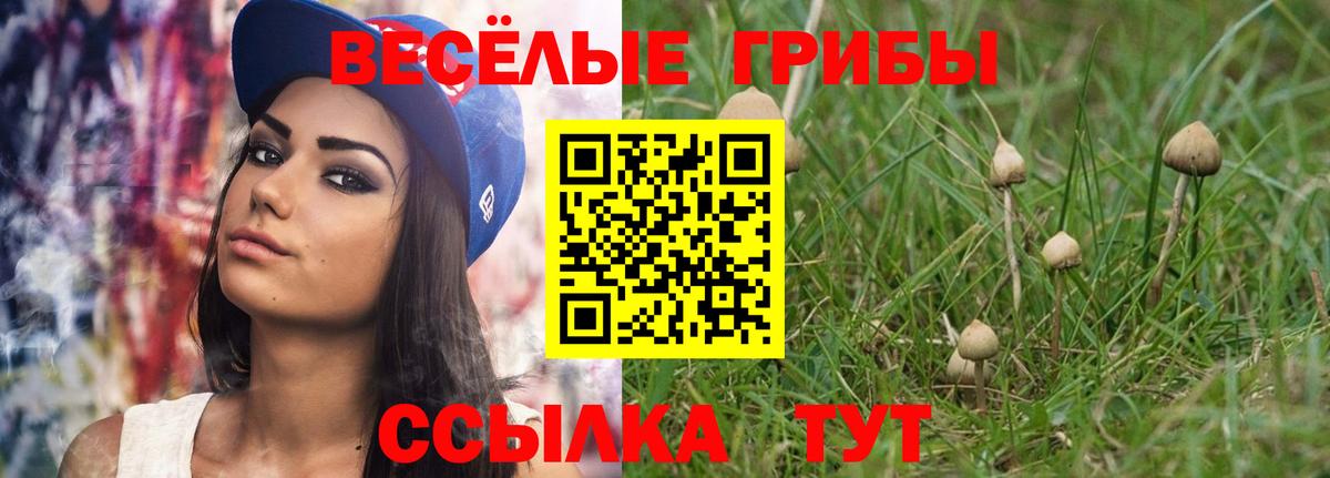 Псилоцибиновые грибы Cubensis  Вход с VPN  Северобайкальск 